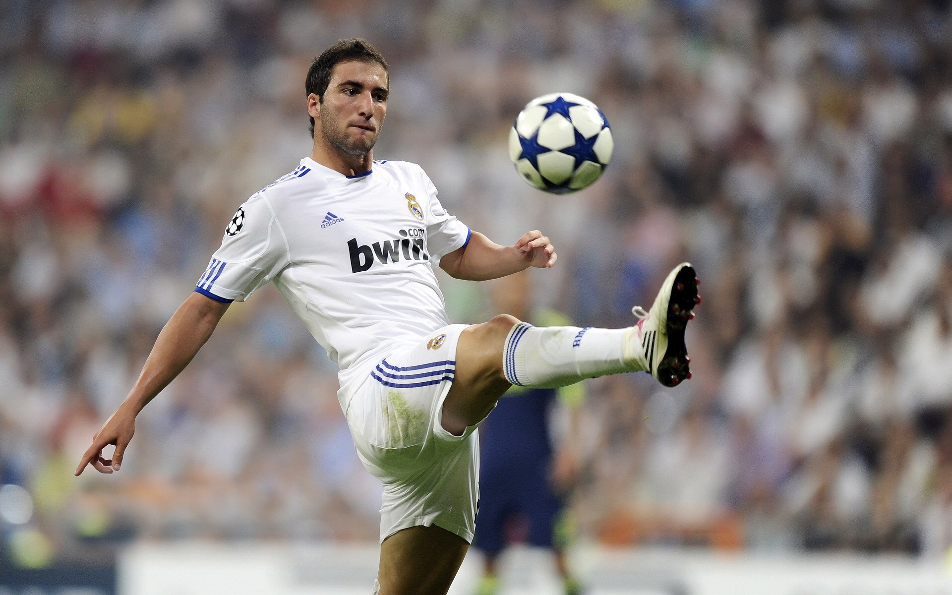 《行业论坛：电竞未来发展新思路》，电竞行业发展趋势